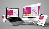 Graphics & Web Designing